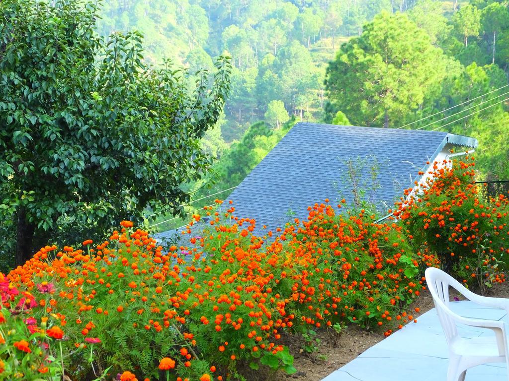 Hostie Sharanam - 2Bhk Pvt Mountain Villa, Majkhali Ránikhet Kültér fotó